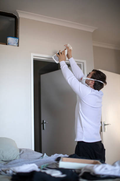 Best Mold Odor Removal Services  in East Sparta, OH