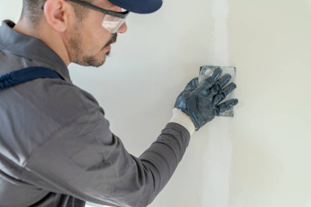 Best Mold Damage Restoration  in East Sparta, OH