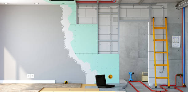 Best Basement Mold Removal  in East Sparta, OH