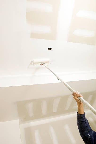 Best Dehumidification Services  in East Sparta, OH